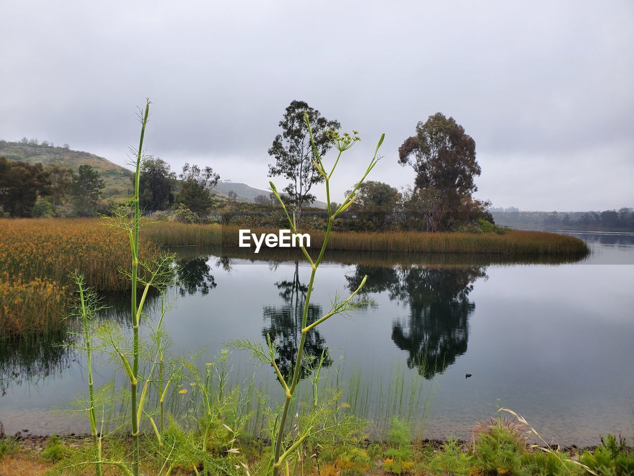 Scenic view of lake against sky