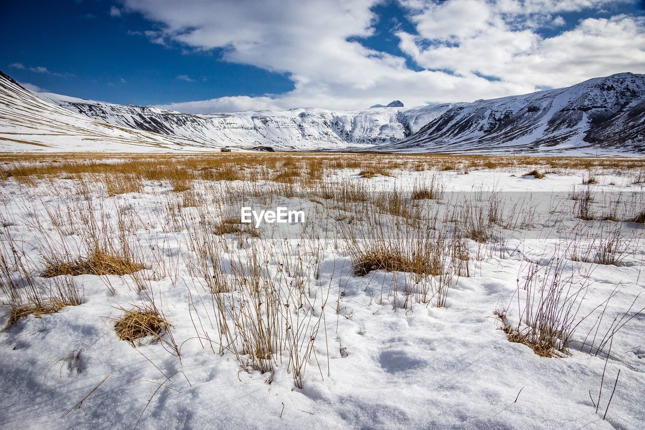 Scenic view of landscape against sky during winter