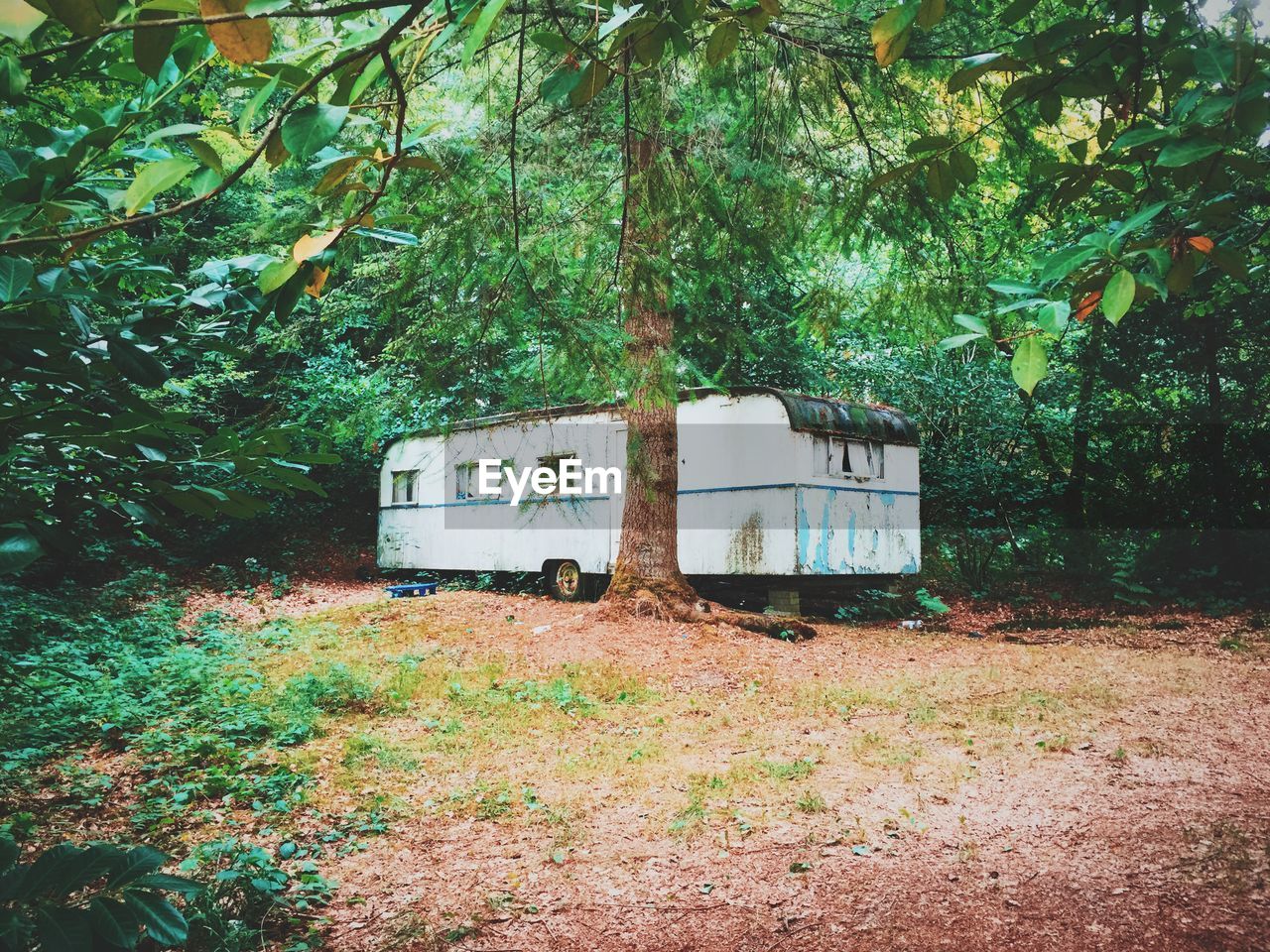 Abandoned trailer home in forest