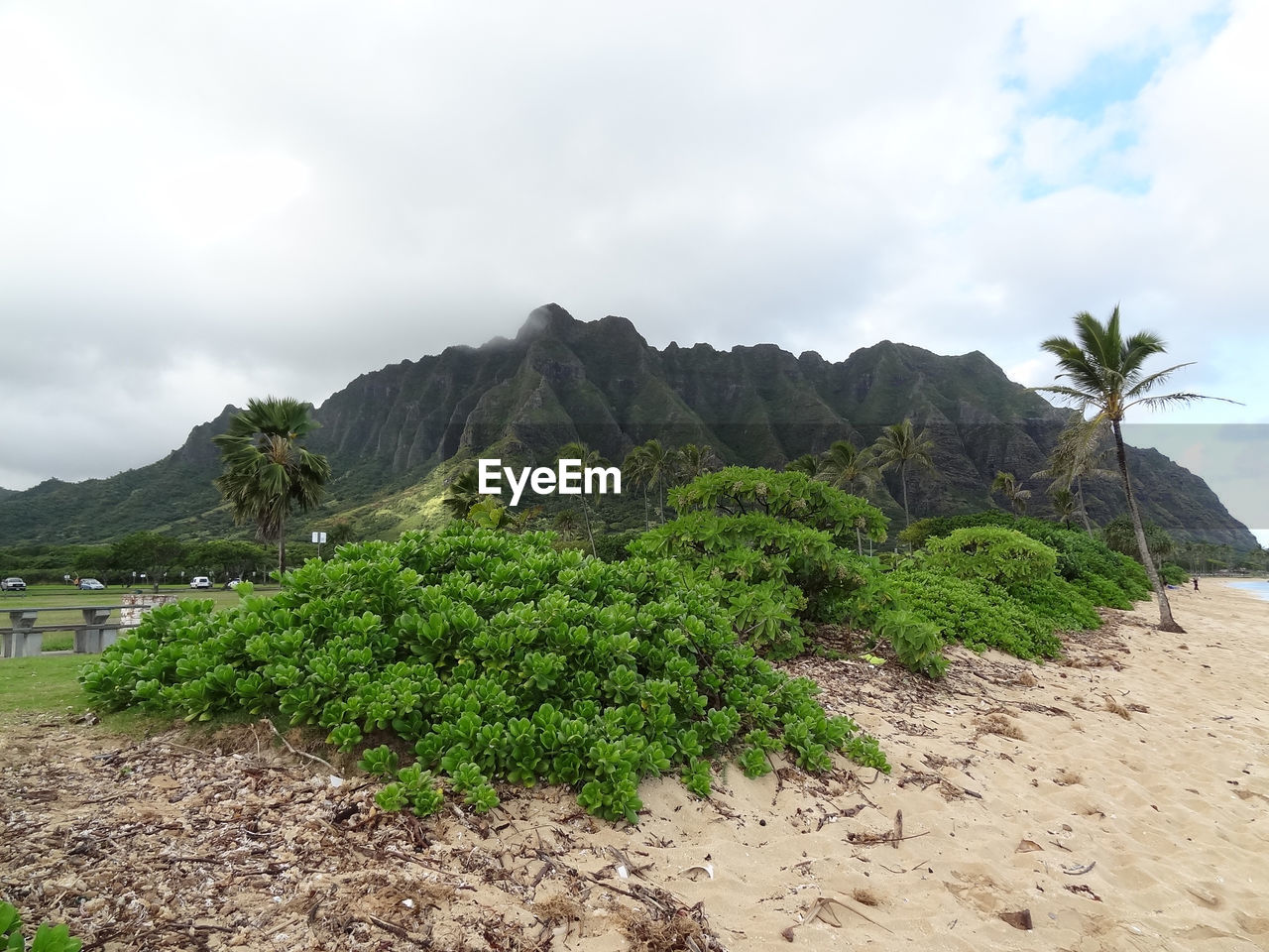 Scenic view of sea against cloudy sky