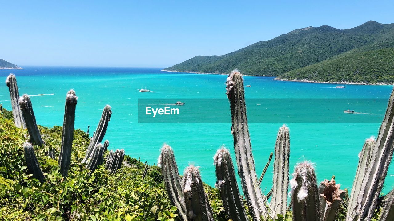 PANORAMIC SHOT OF SEA AGAINST SKY