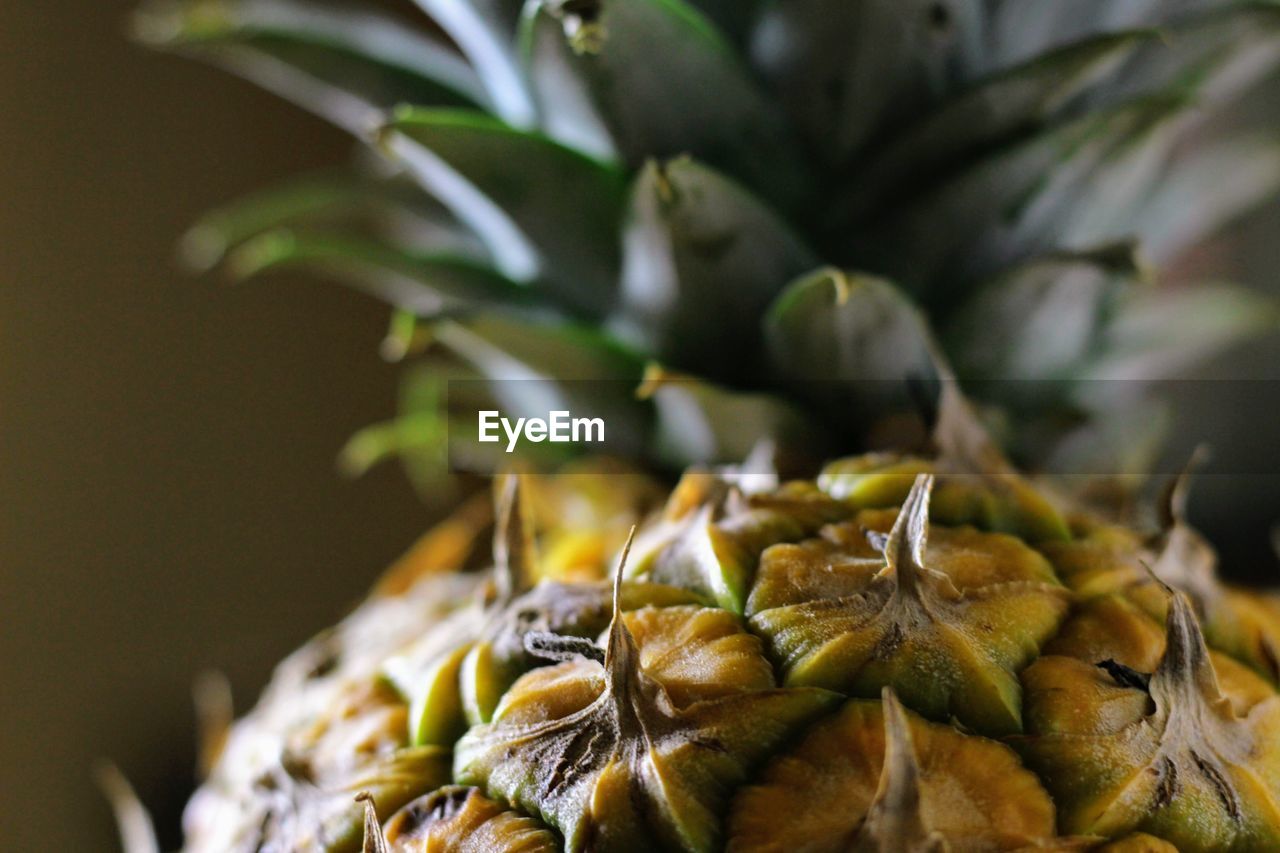 Close-up of pineapple