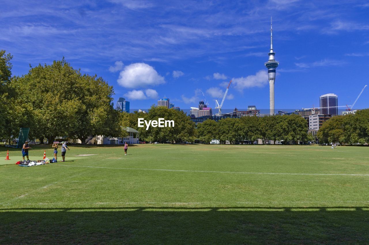 TREES AND BUILDINGS IN CITY