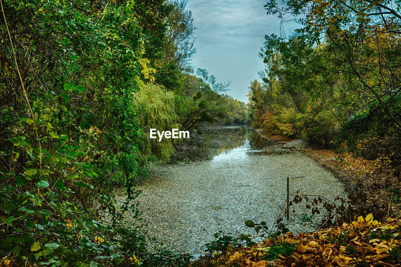 SCENIC VIEW OF RIVER FLOWING THROUGH ROCKS