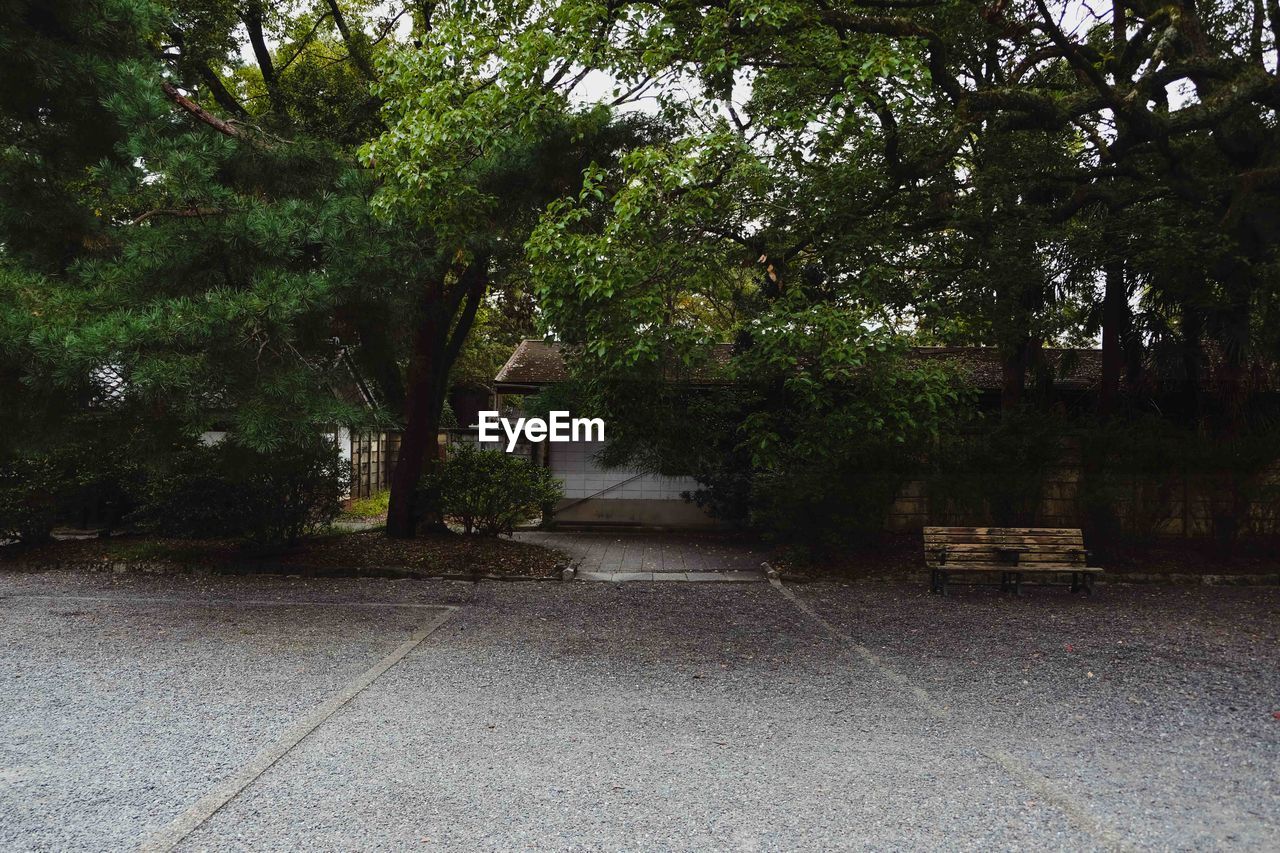 FOOTPATH BY TREES IN PARK