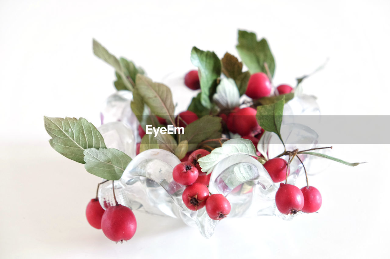 CLOSE-UP OF BERRIES OVER WHITE BACKGROUND