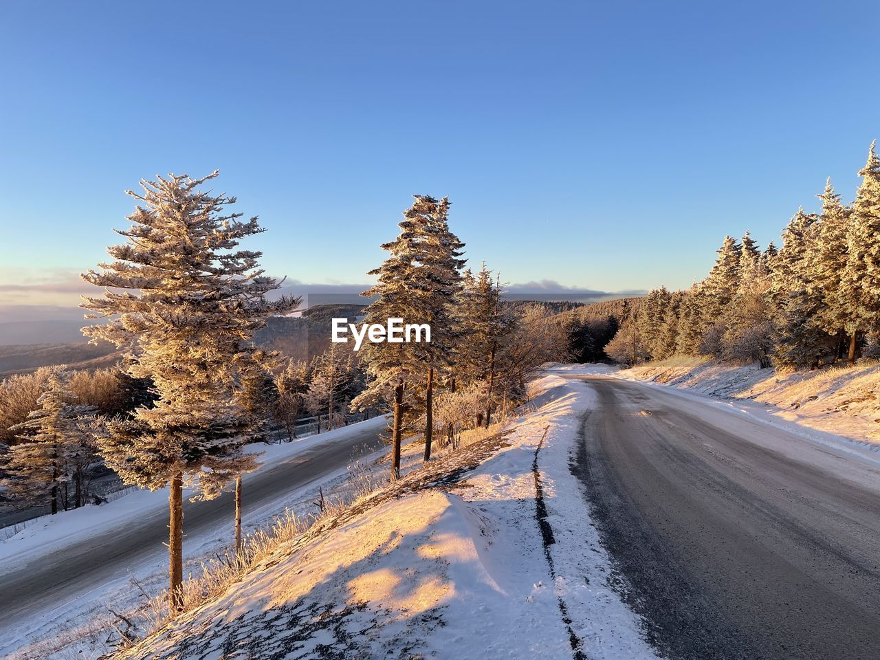 Road amidst trees against clear blue sky