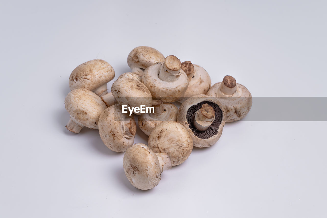 HIGH ANGLE VIEW OF MUSHROOMS