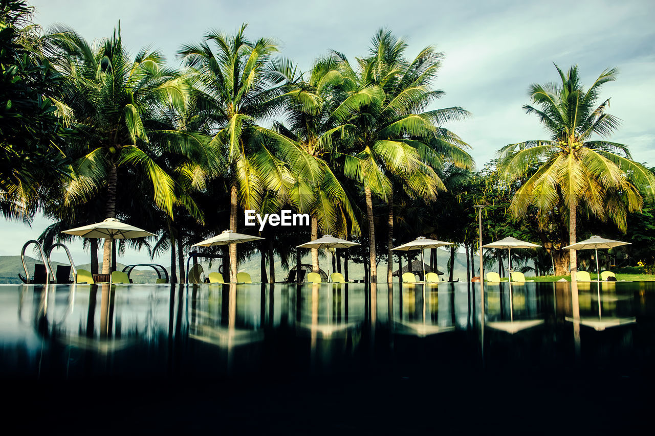 Scenic view of palm trees and deckchairs with umbrella reflecting in pool