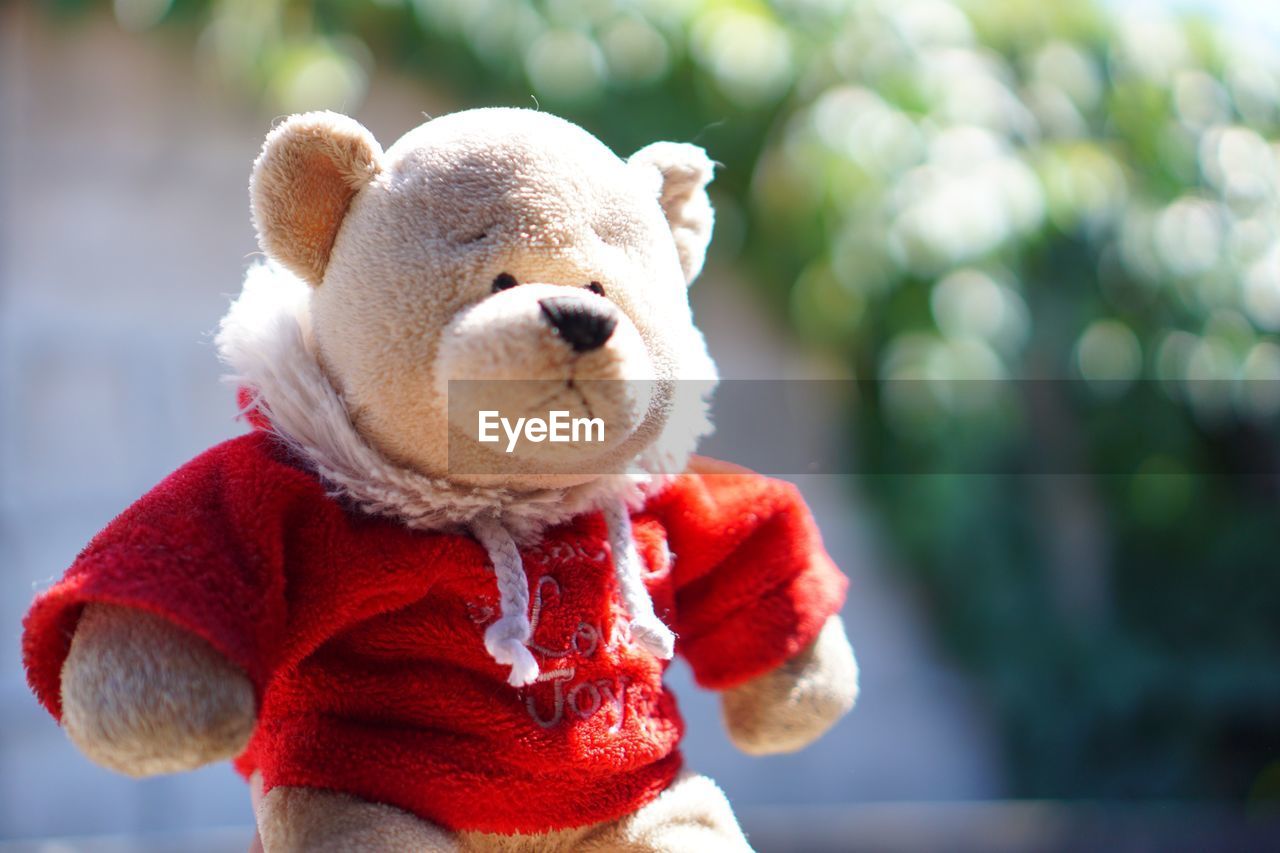 Teddy bear with blur background