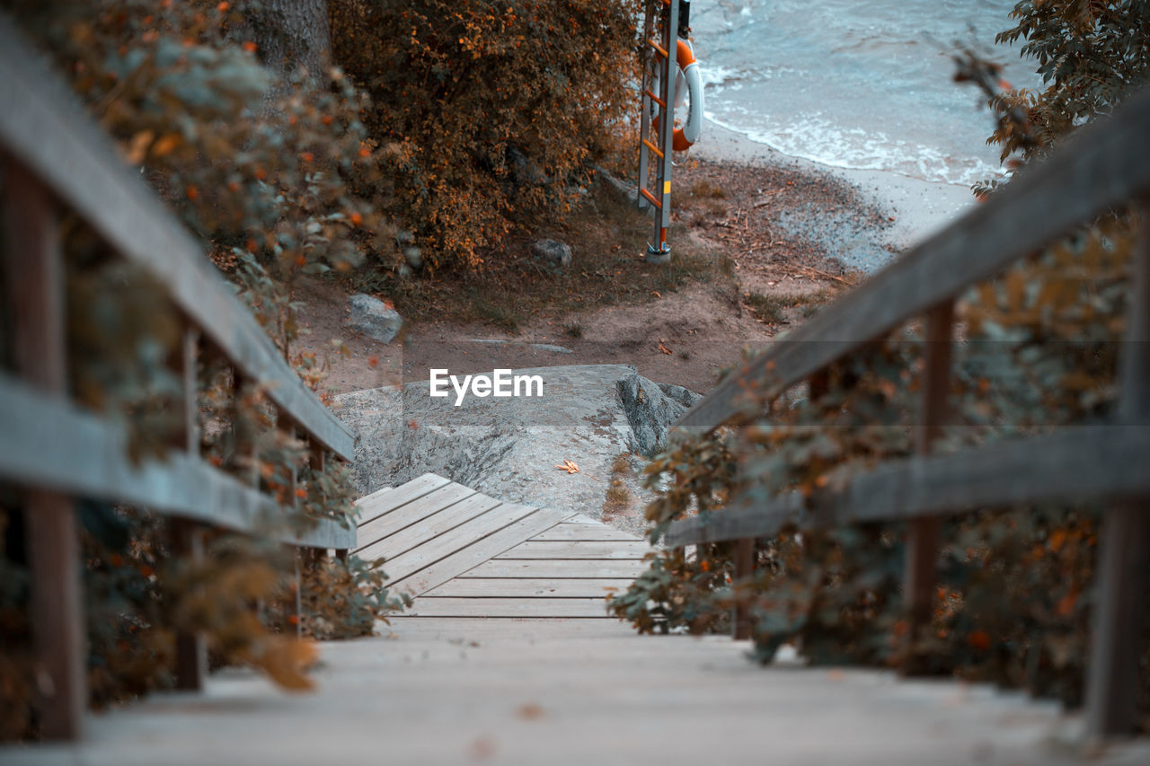 HIGH ANGLE VIEW OF STAIRCASE IN BETWEEN TREES