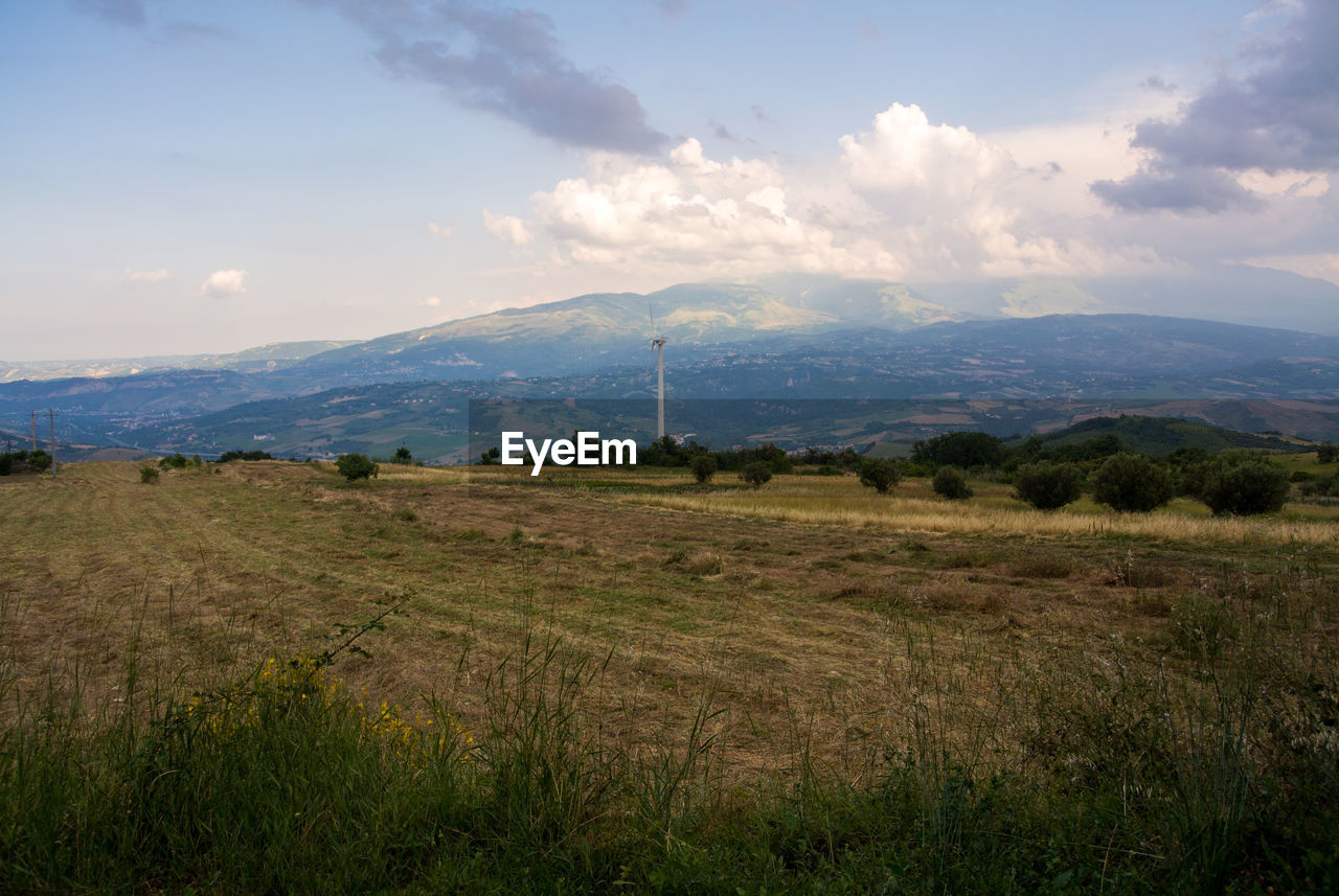 SCENIC VIEW OF GRASSY FIELD AGAINST SKY