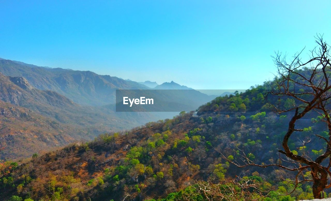 SCENIC VIEW OF TREES AND MOUNTAINS AGAINST CLEAR SKY