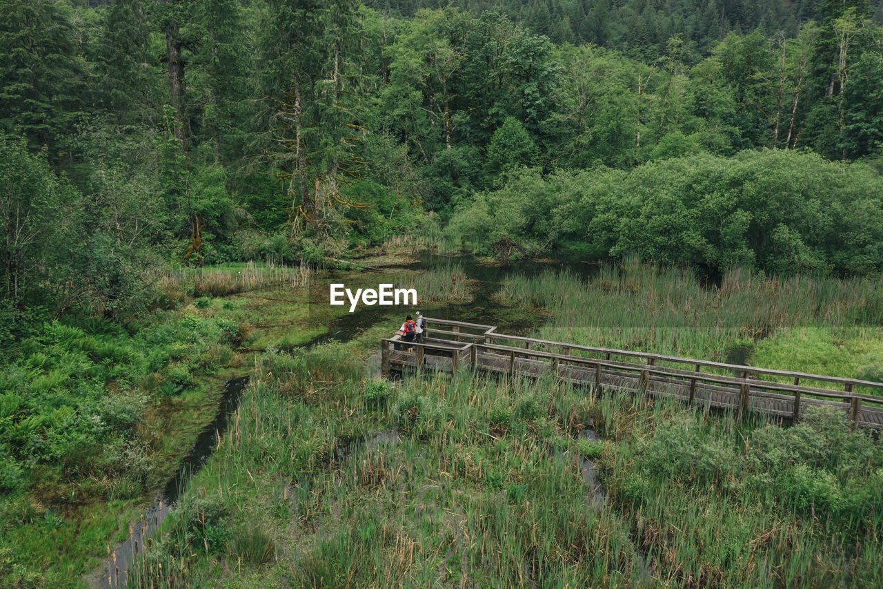 A young couple enjoys a hike on a boardwalk in the pacific northwest.