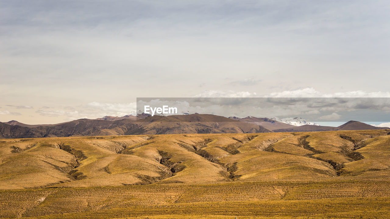 Scenic view of landscape