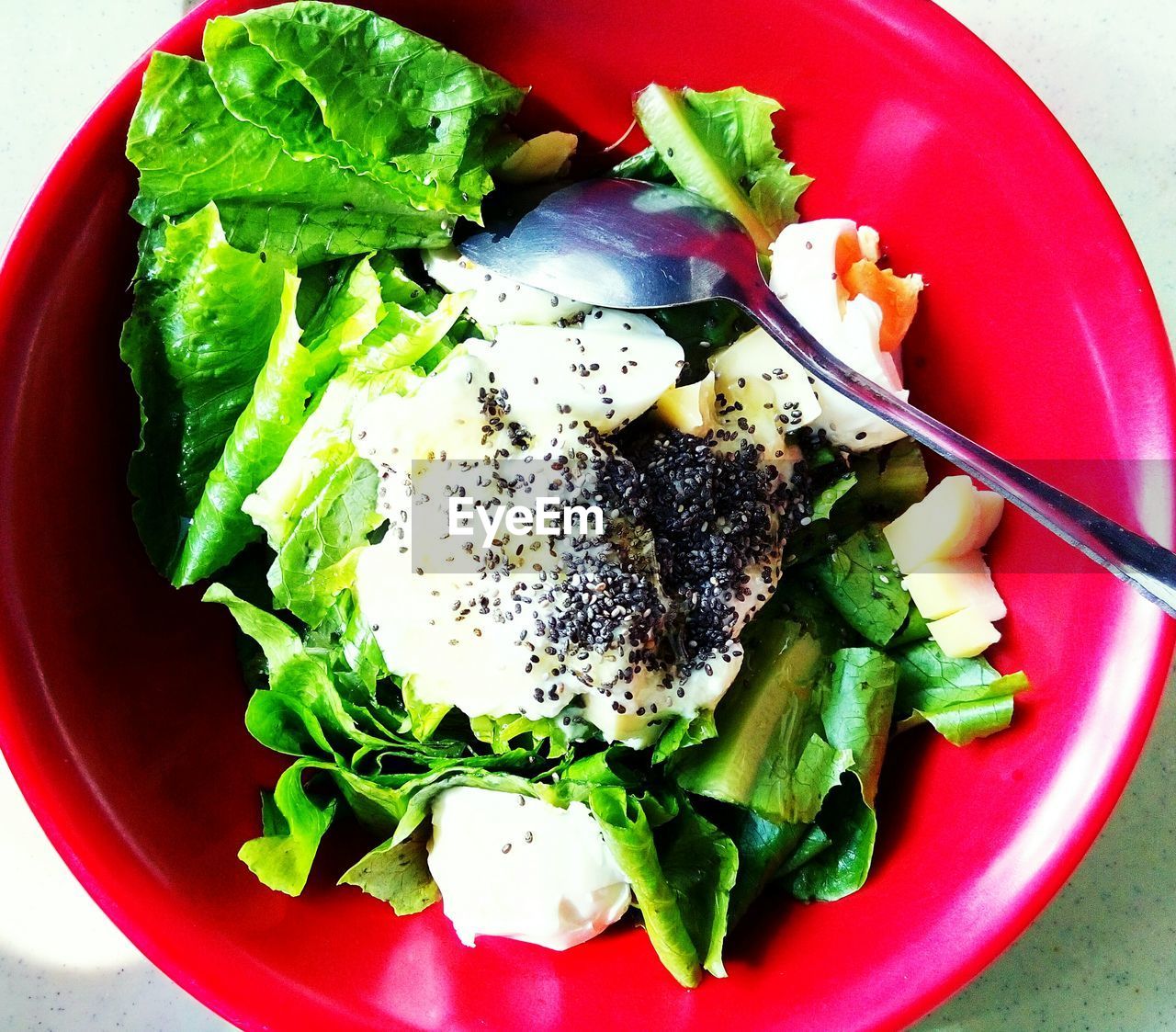 CLOSE-UP OF SERVED FOOD IN PLATE