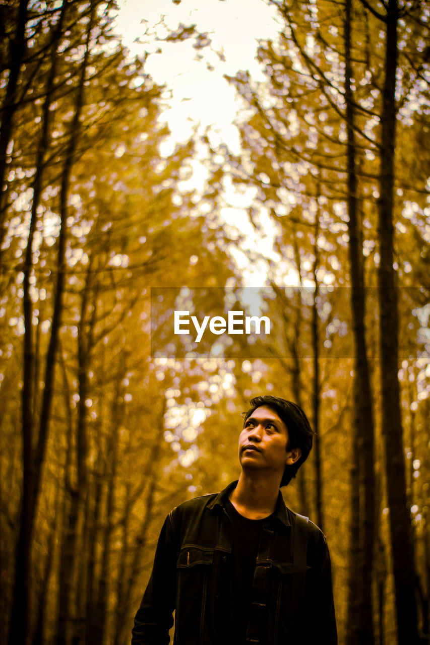 Man looking up while standing against trees in forest