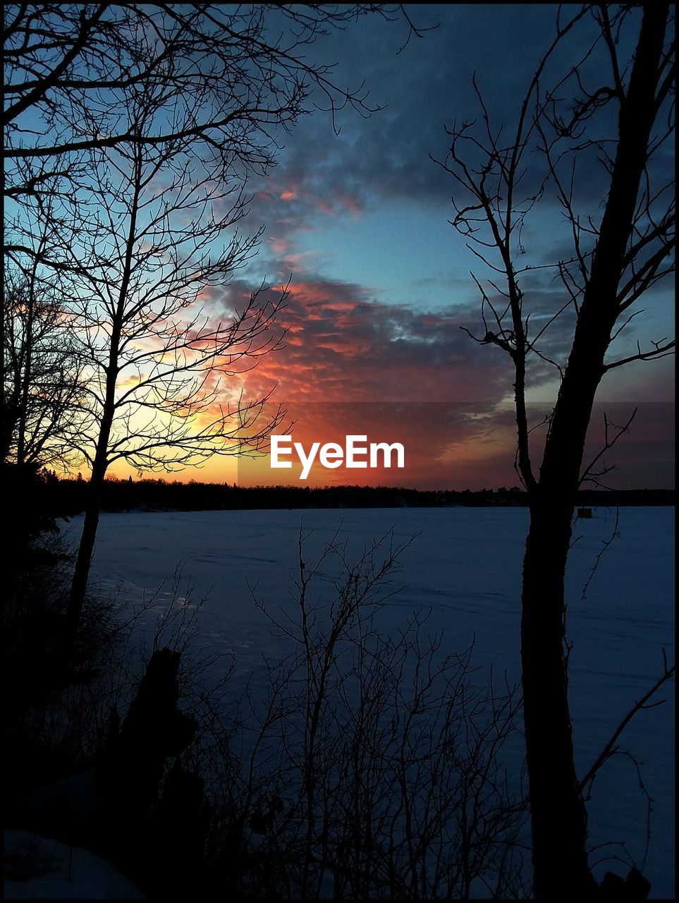 SILHOUETTE BARE TREE BY LAKE AGAINST SKY