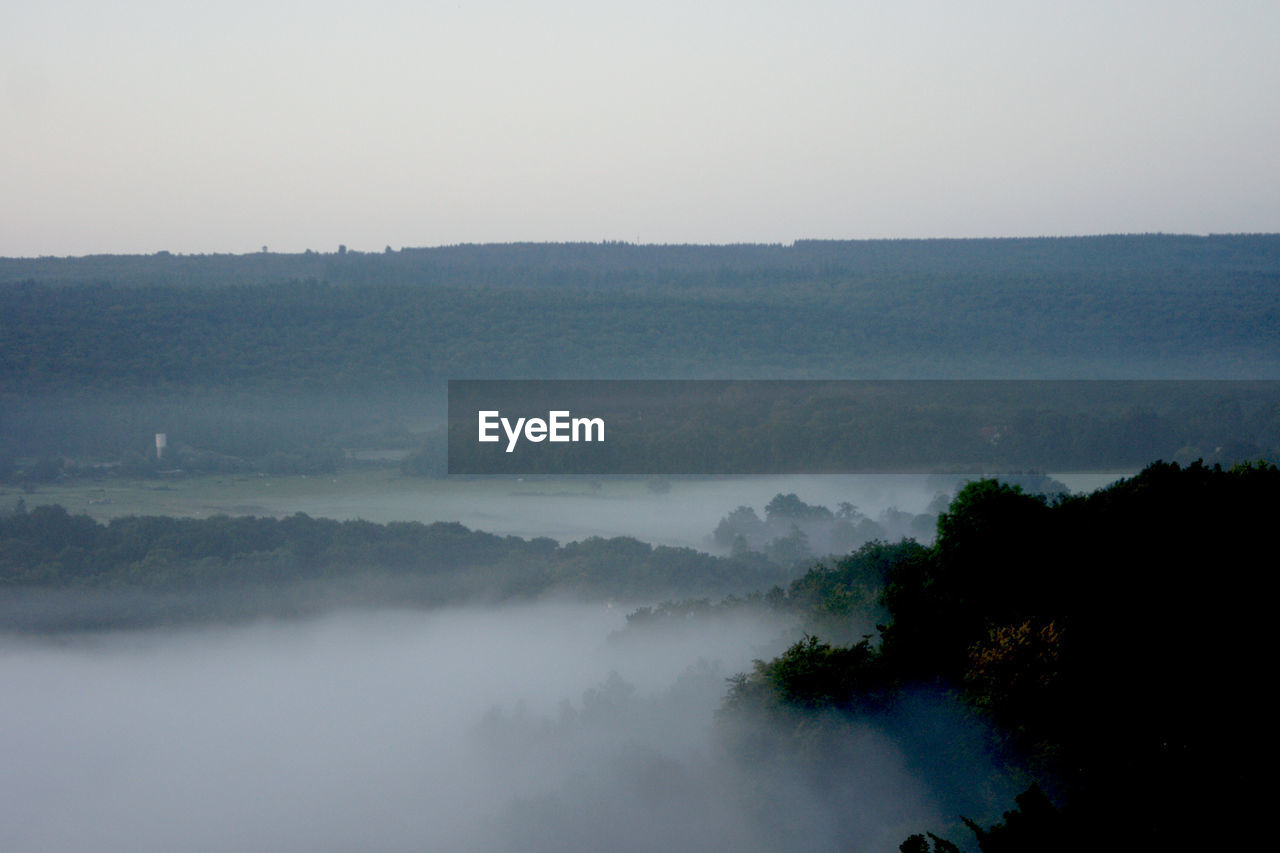 SCENIC VIEW OF TREE MOUNTAIN AGAINST SKY