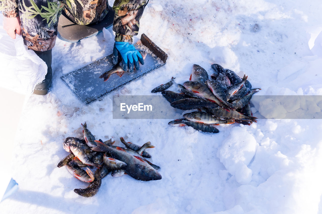 HIGH ANGLE VIEW OF PEOPLE IN ICE