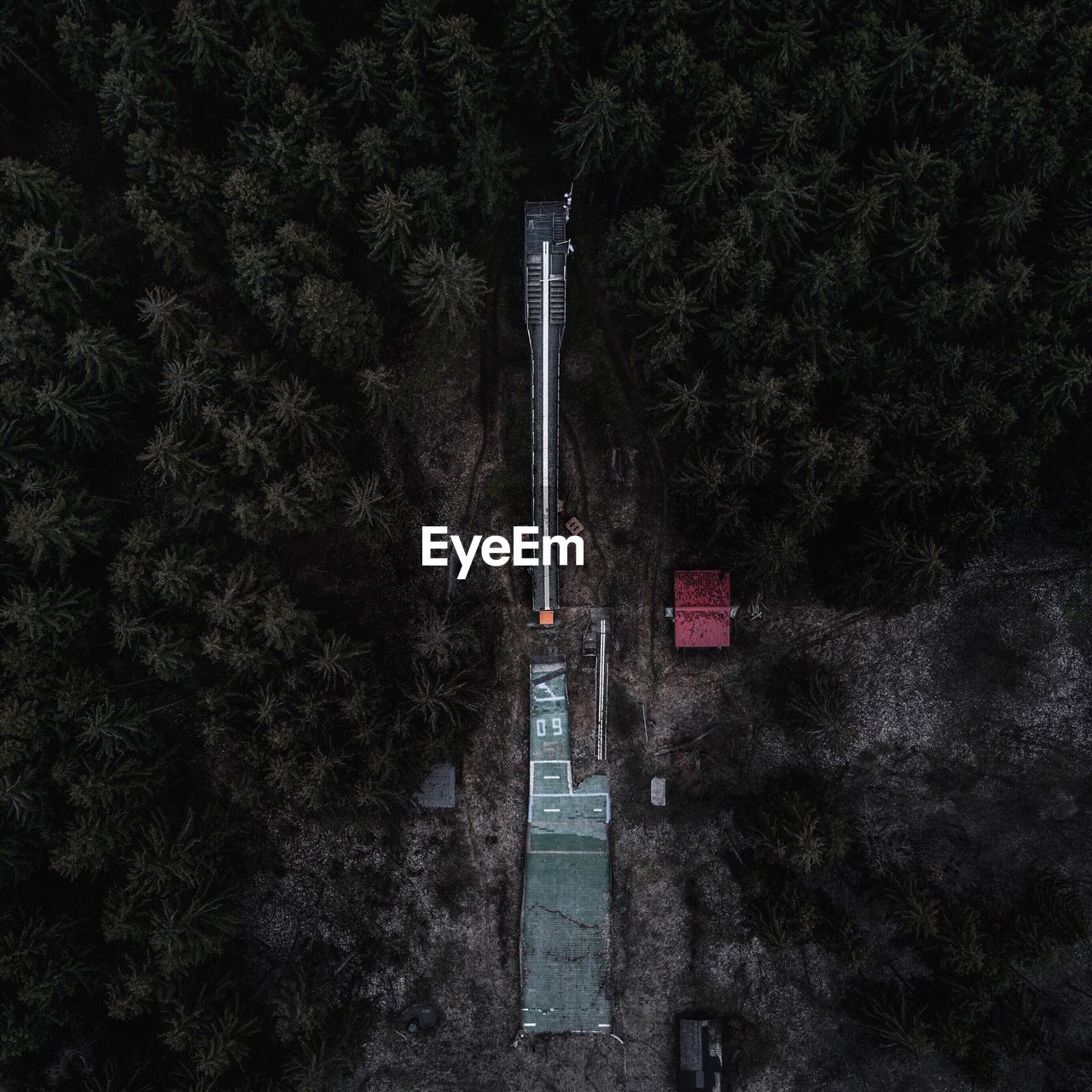 Directly above shot of structure amidst trees in forest