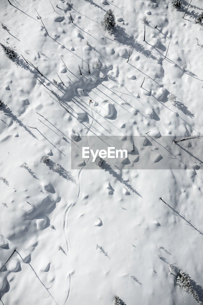 Aerial photo of adult woman backcountry powder skiing in the kootenays, b.c., canada