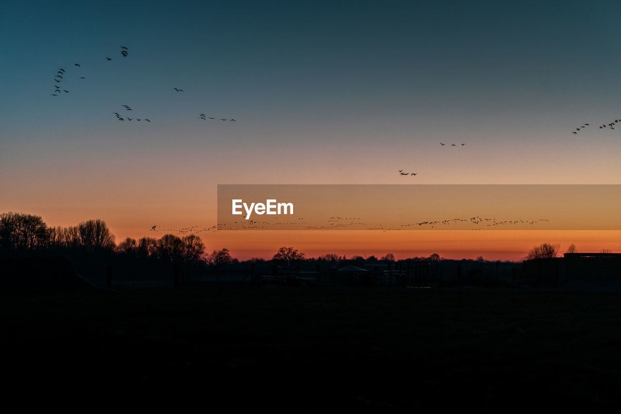 SILHOUETTE OF BIRDS FLYING AGAINST SKY DURING SUNSET