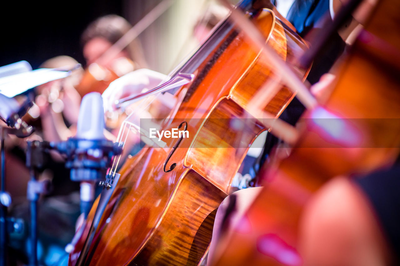 Close-up of violin