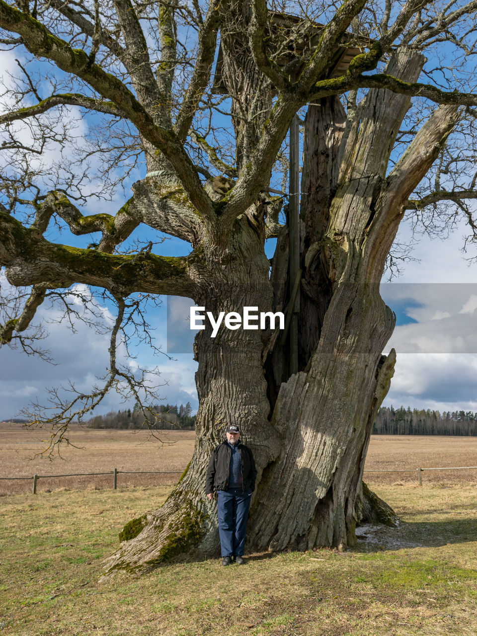 Man standing by tree on field against sky