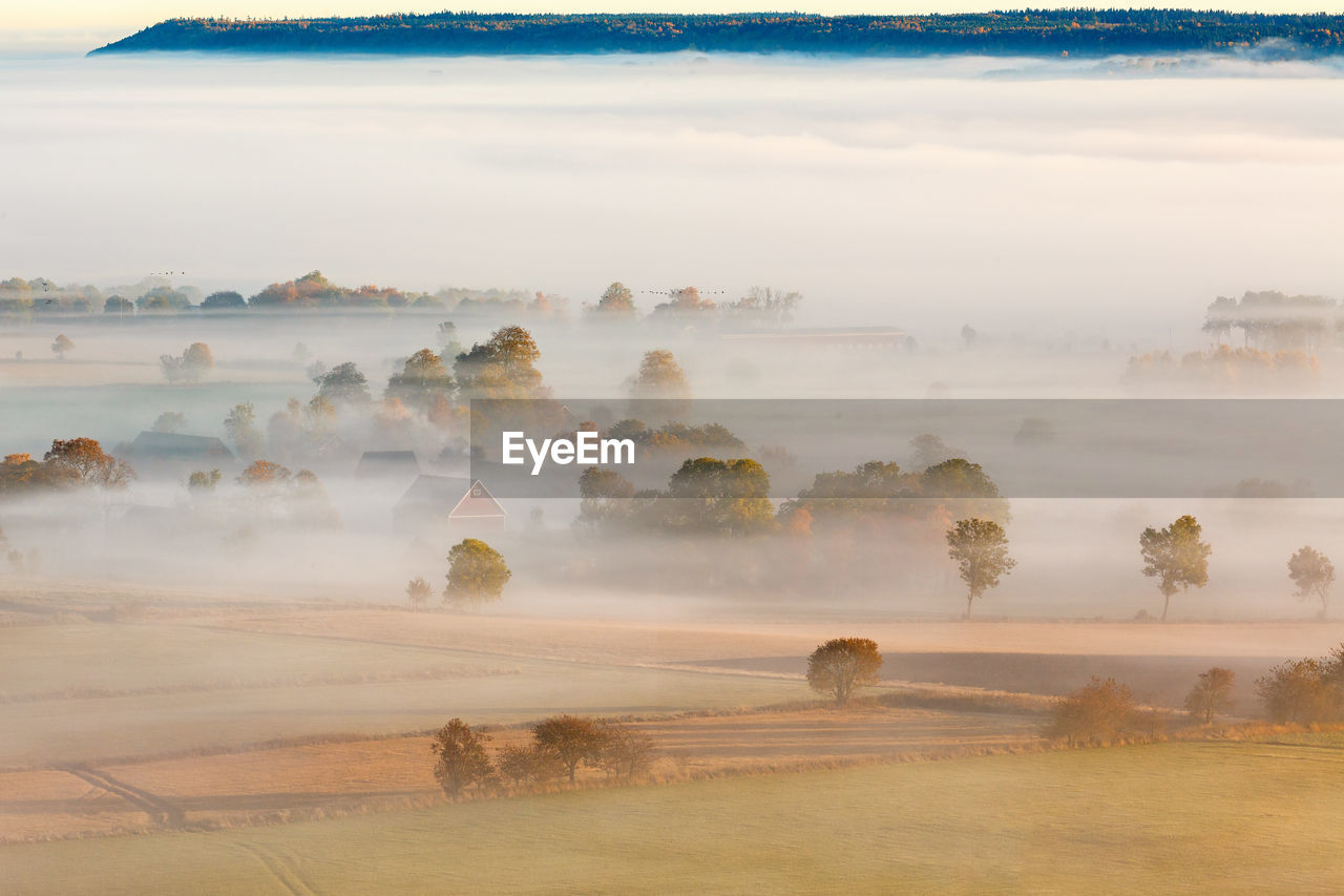 High angle view of trees on landscape during autumn