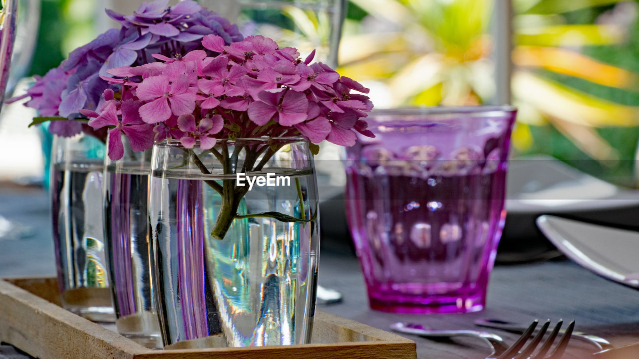 CLOSE-UP OF PURPLE FLOWER ON TABLE