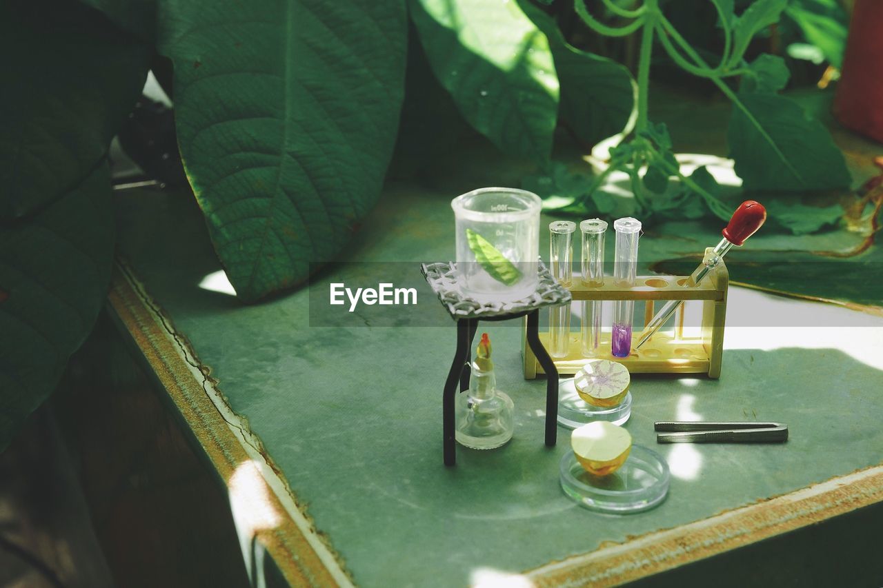 WINE GLASSES ON TABLE BY PLANT