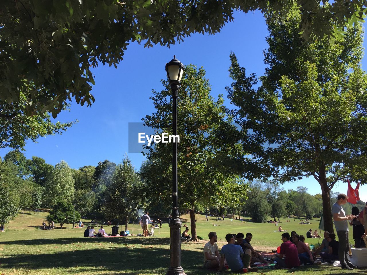 People relaxing in park