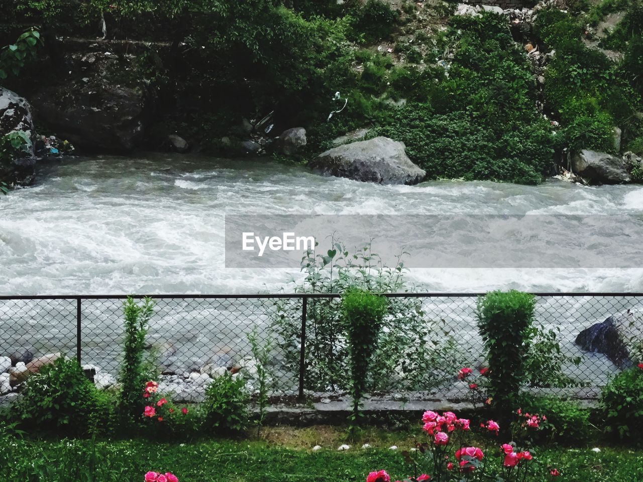 SCENIC VIEW OF SEA AND PLANTS AGAINST ROCKS