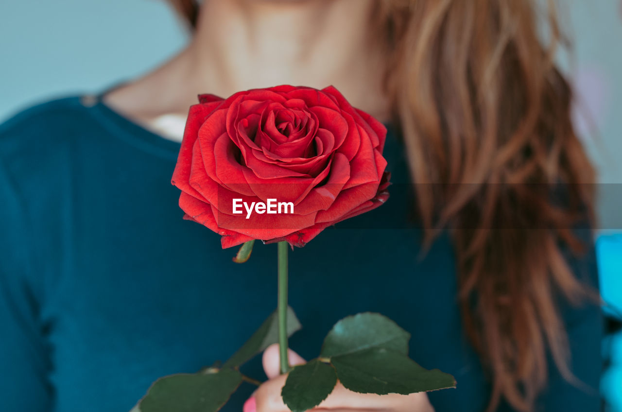 Close-up of red rose against blurred background