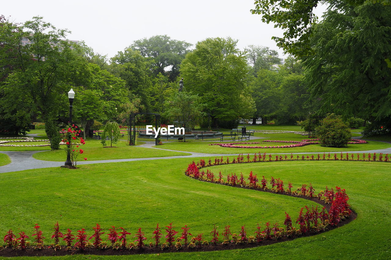 plant, tree, lawn, grass, green, nature, park, garden, growth, formal garden, beauty in nature, sport venue, ornamental garden, park - man made space, flower, no people, day, outdoors, sky, botanical garden, tranquility, sports