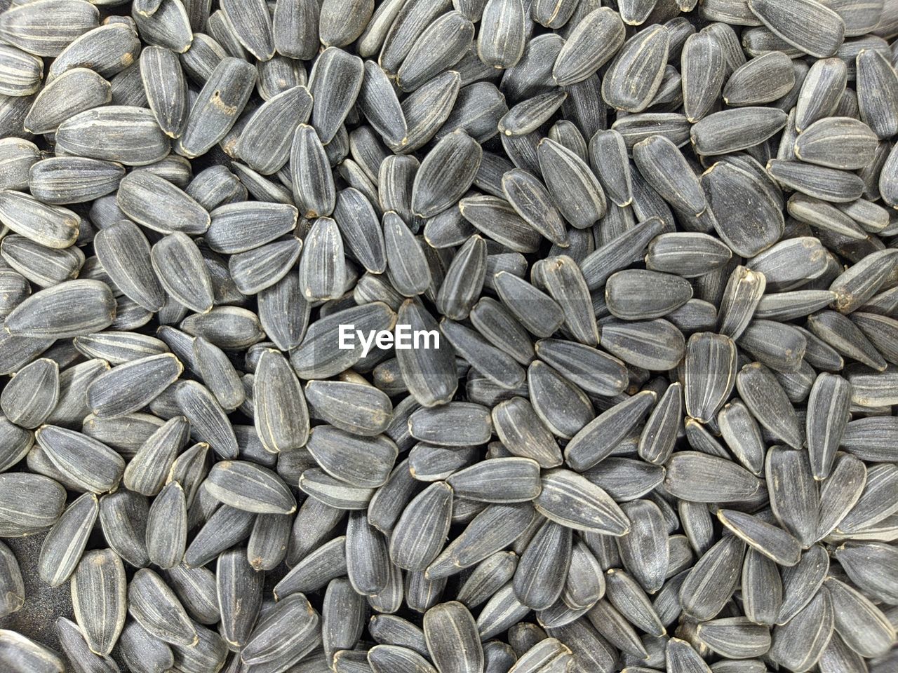 Sunflower seed background 