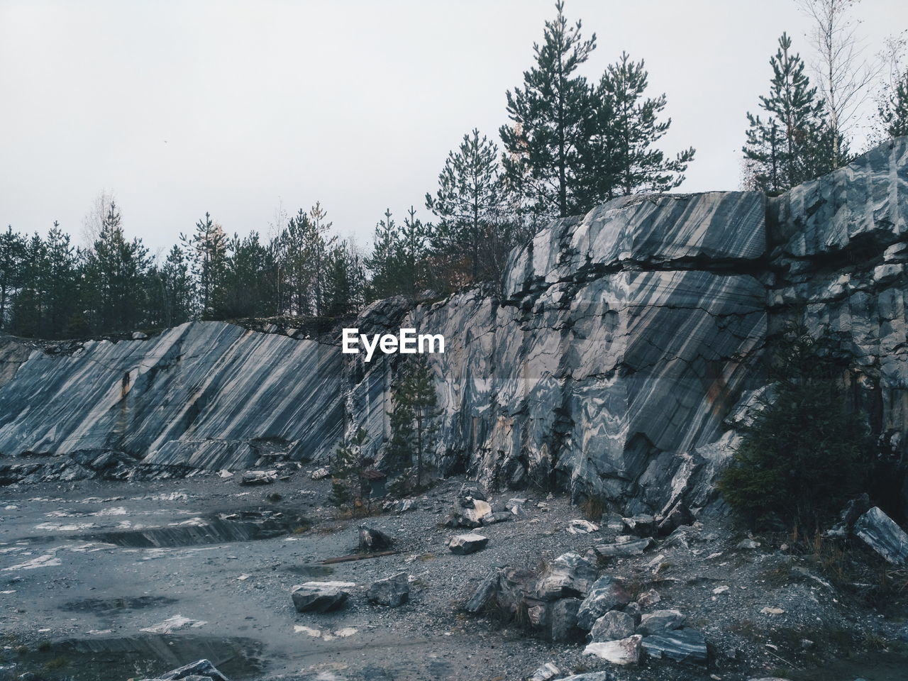 TREES AND ROCKS AGAINST SKY