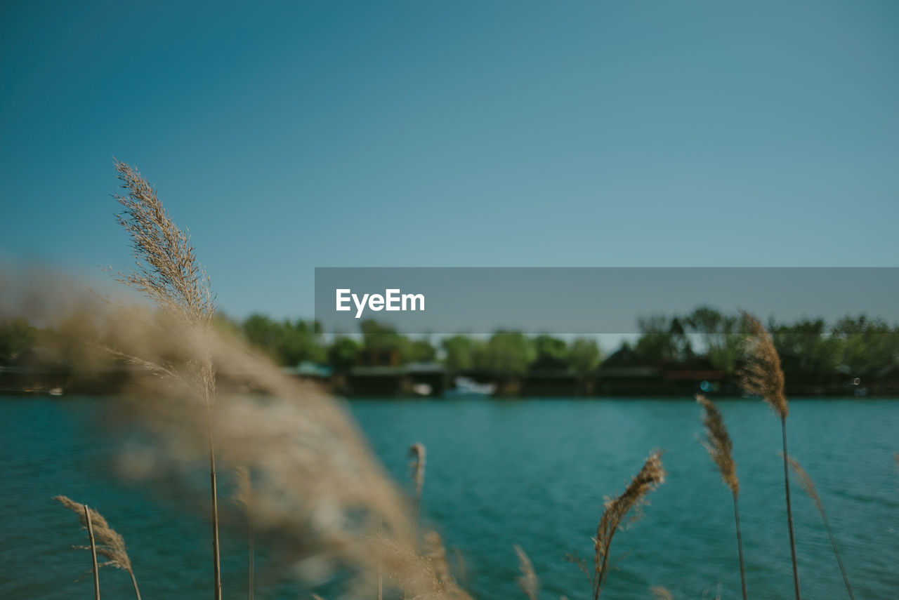 Scenic view of lake against clear blue sky