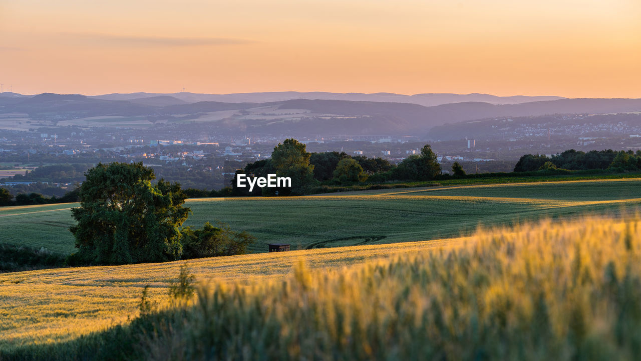 Panorama of the beautiful sunset in western germany, a field of wheat, in the distance a small city.