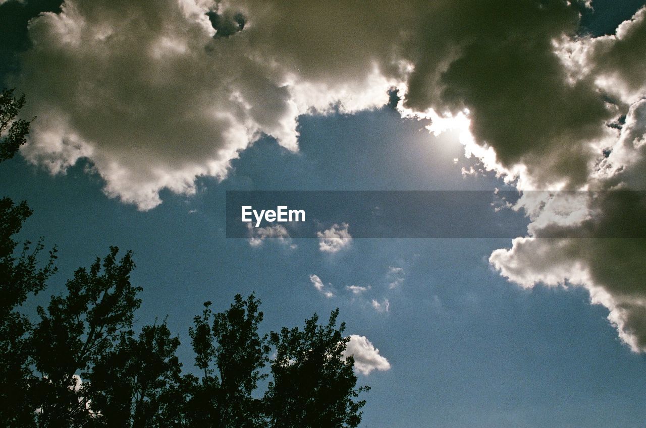 LOW ANGLE VIEW OF SKY AND TREES AGAINST CLOUDS