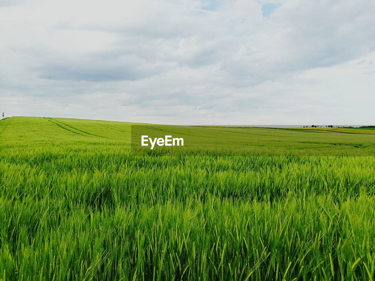 Scenic view of field against cloudy sky