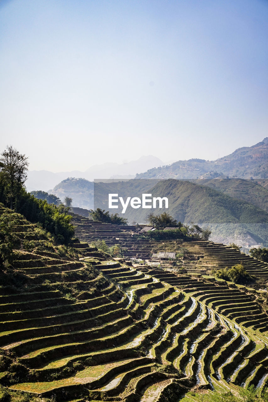 Scenic view of agricultural field against sky in vietnam