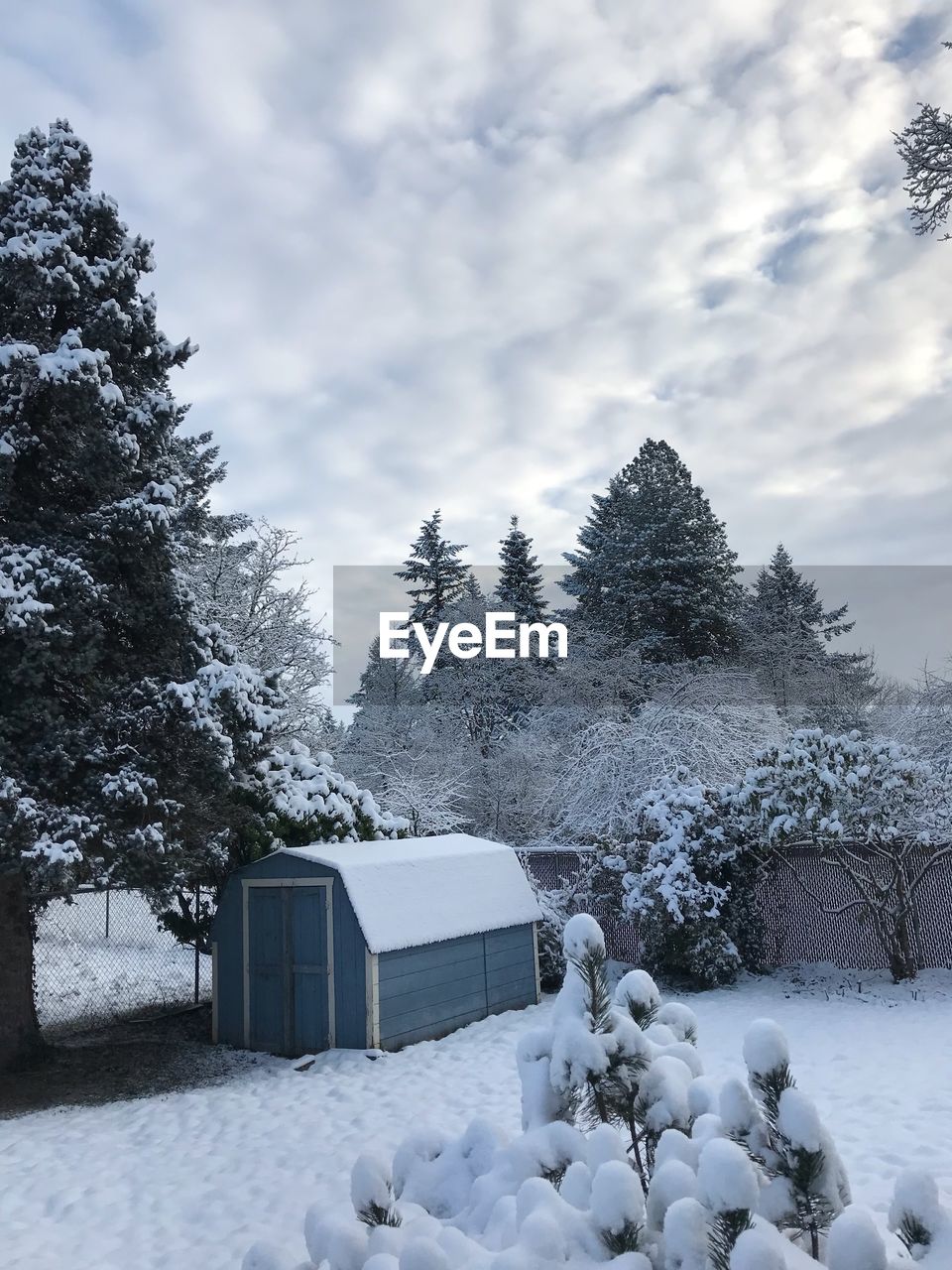 SNOW COVERED PLANTS ON FIELD AGAINST SKY