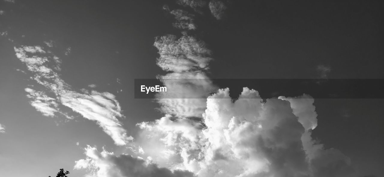 LOW ANGLE VIEW OF SKY