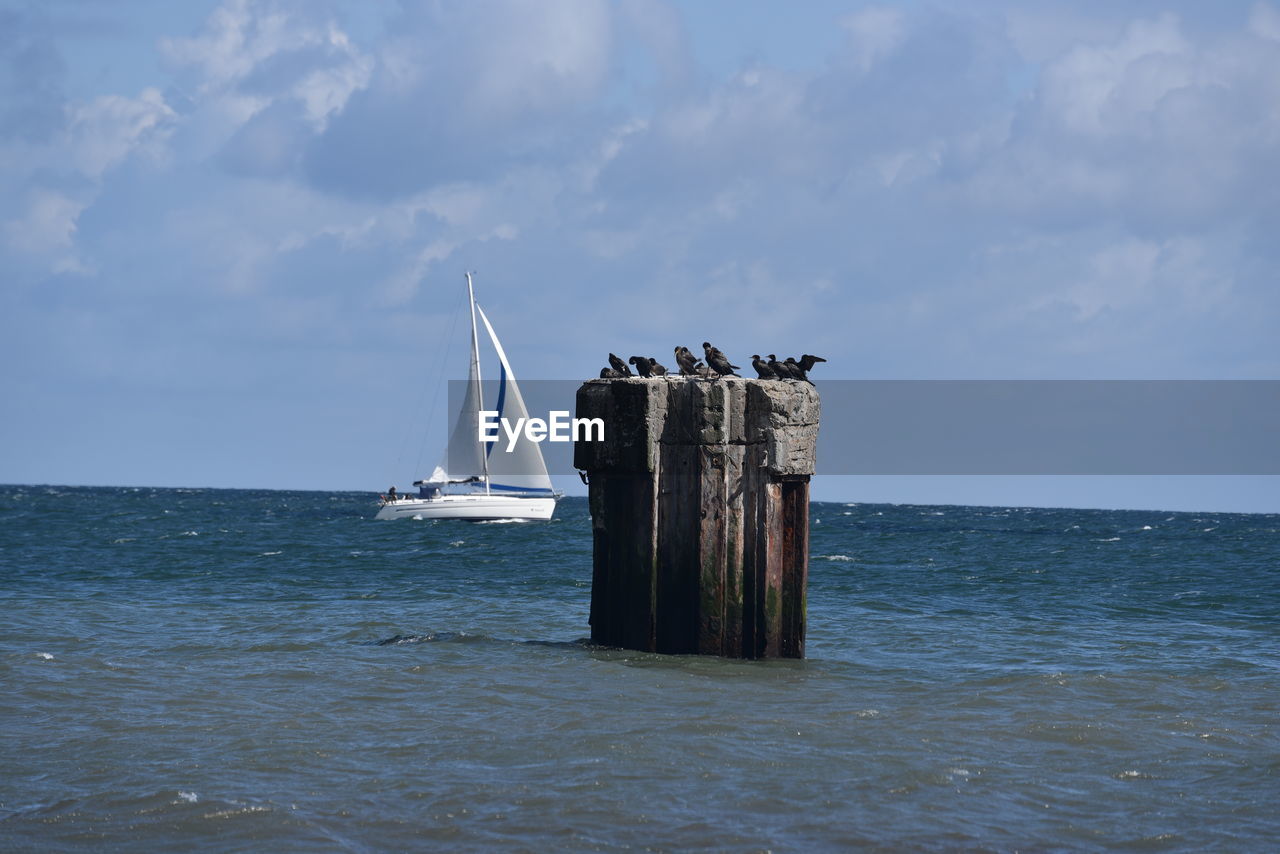 Sailboat on sea against sky