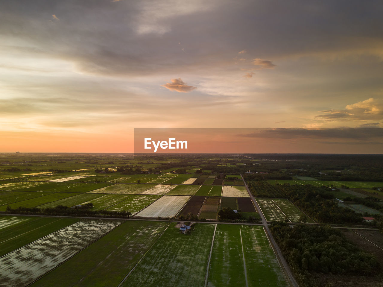 Scenic view of agricultural field against sky during sunset