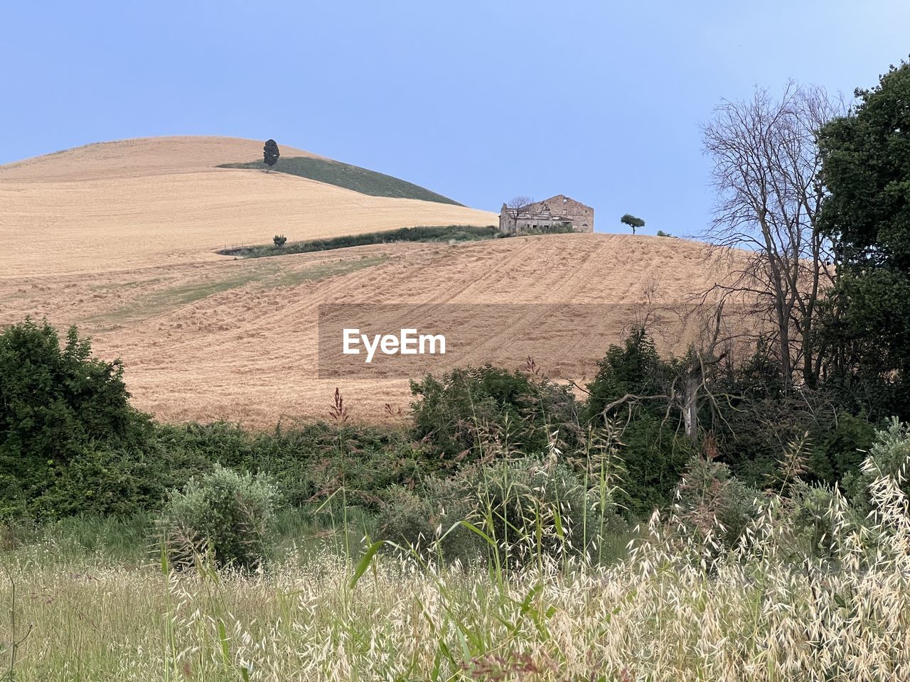 plant, natural environment, hill, landscape, land, prairie, environment, nature, grass, field, rural area, sky, architecture, soil, grassland, built structure, tree, scenics - nature, no people, steppe, building exterior, plateau, non-urban scene, building, rural scene, sand dune, mound, day, outdoors, plain, agriculture, beauty in nature, growth, blue, clear sky, house, desert, tranquility, travel, sunny, travel destinations, dry