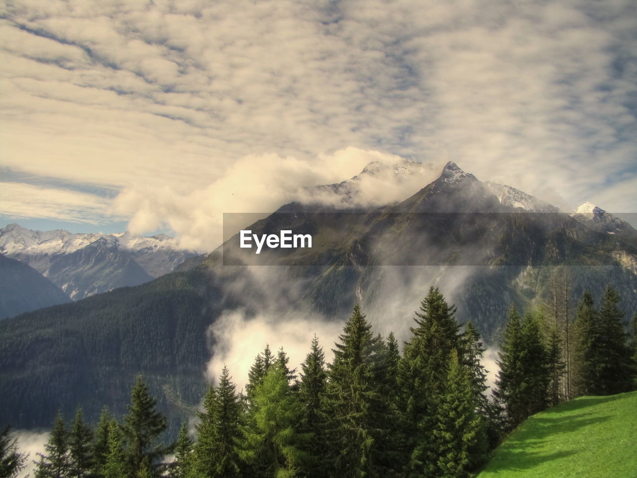 Scenic view of trees and mountains against cloudy sky during foggy weather