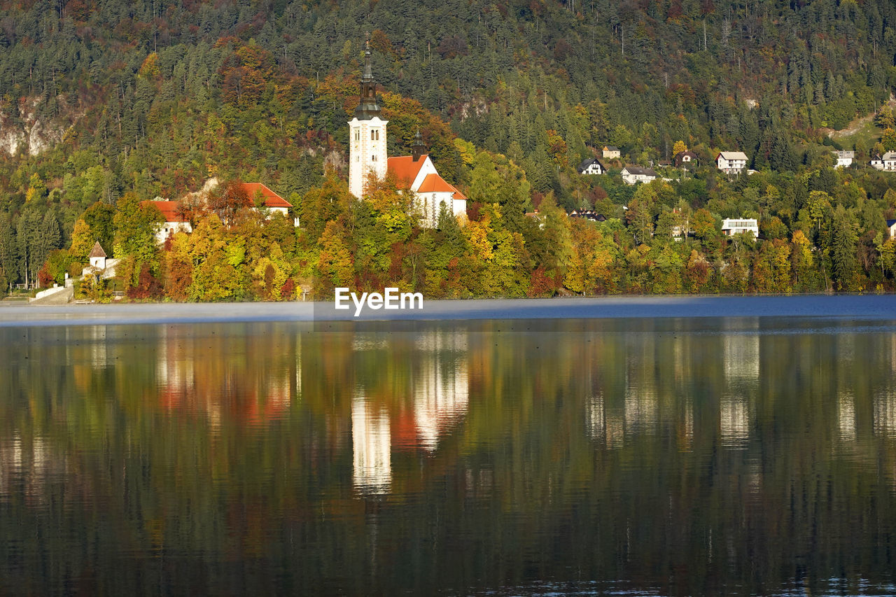 REFLECTION OF TREES ON LAKE BY HOUSE